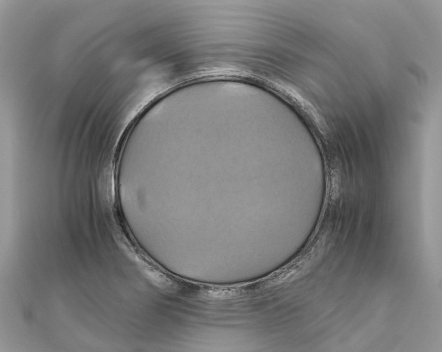 X0000110991274200907171744