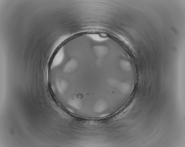 X0000110991275200907171744