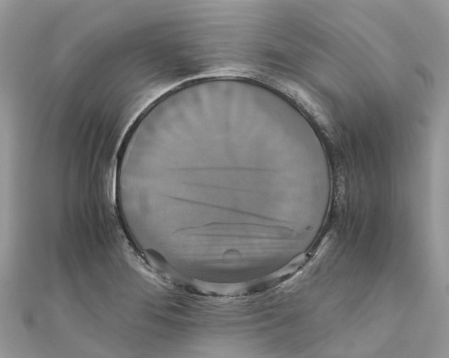 X0000110991276200907171744
