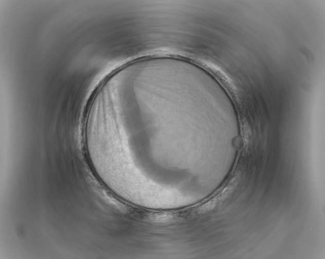 X0000110991278200907171744
