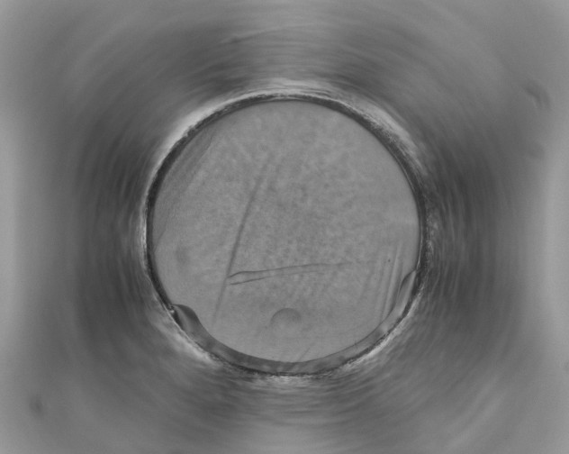 X0000110991280200907171744