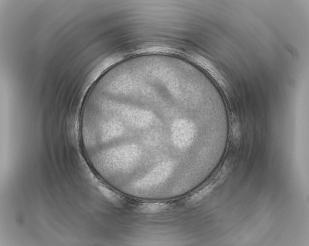 X0000110991282200907171744