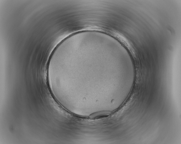 X0000110991284200907171744