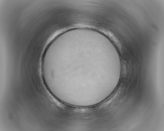 X0000110991286200907171744