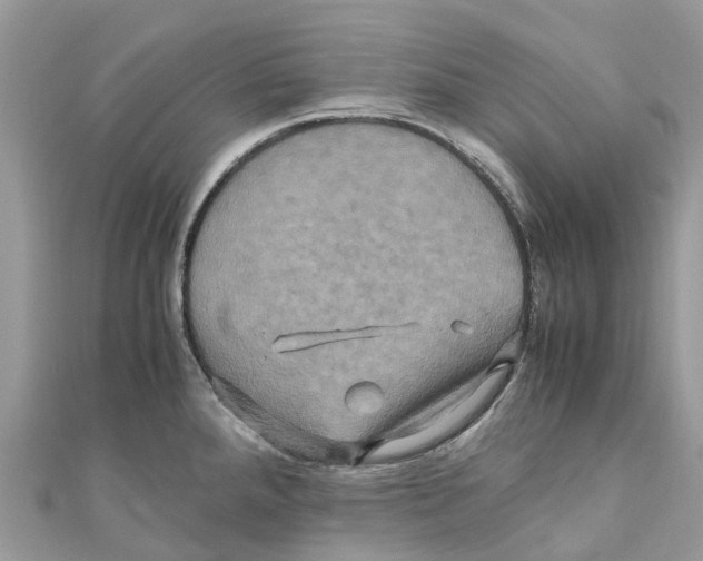 X0000110991288200907171744