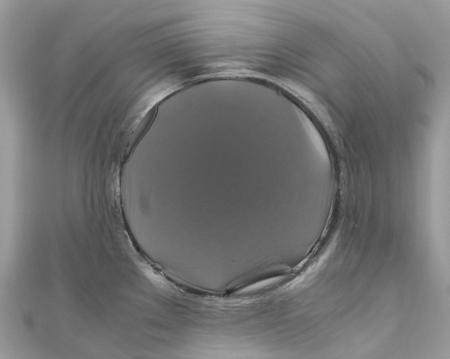 X0000110991289200907171744