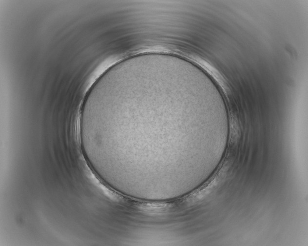 X0000110991290200907171744