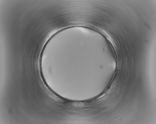 X0000110991291200907171744
