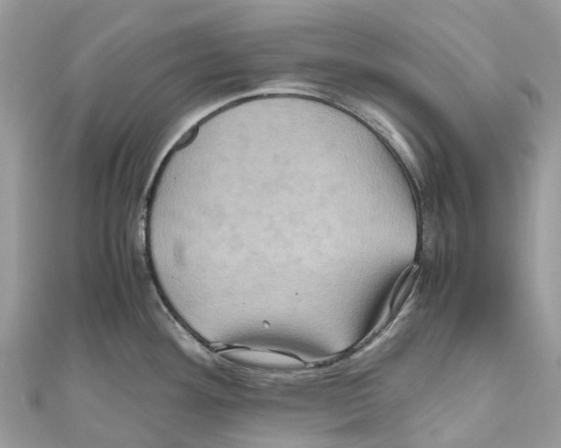X0000110991292200907171744