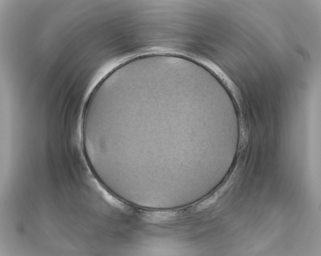 X0000110991294200907171744