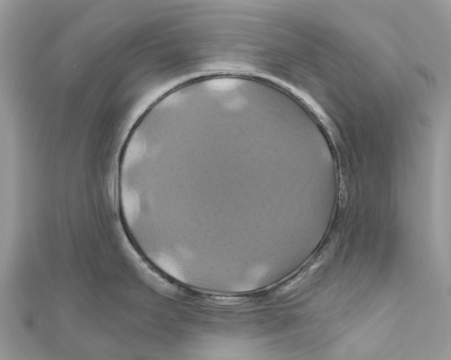X0000110991295200907171744