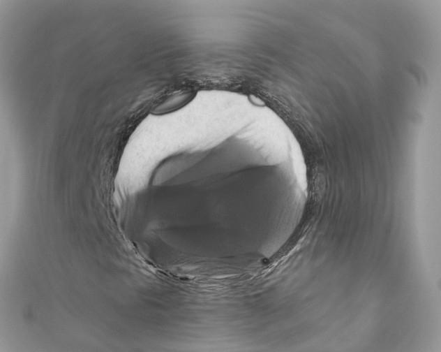 X0000110991297200907171743