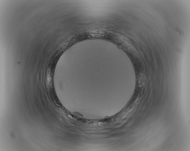 X0000110991298200907171743