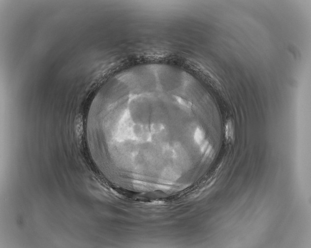X0000110991299200907171743