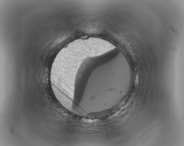 X0000110991301200907171743