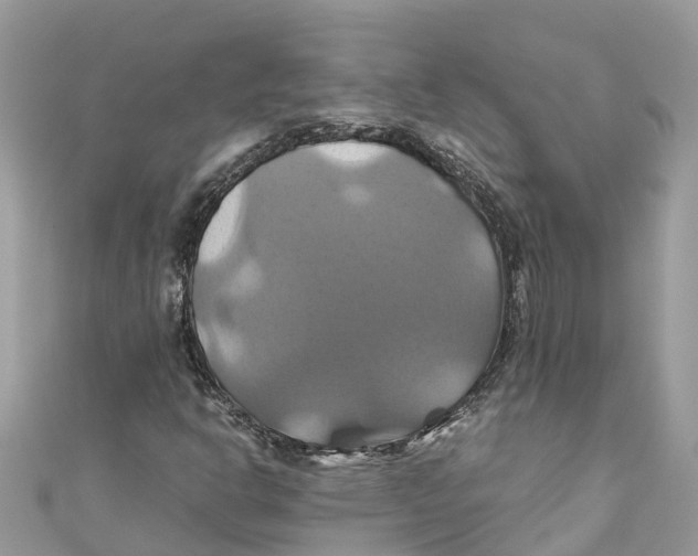 X0000110991302200907171743