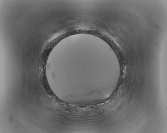 X0000110991303200907171743