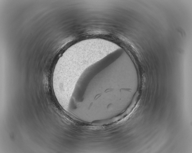 X0000110991305200907171743