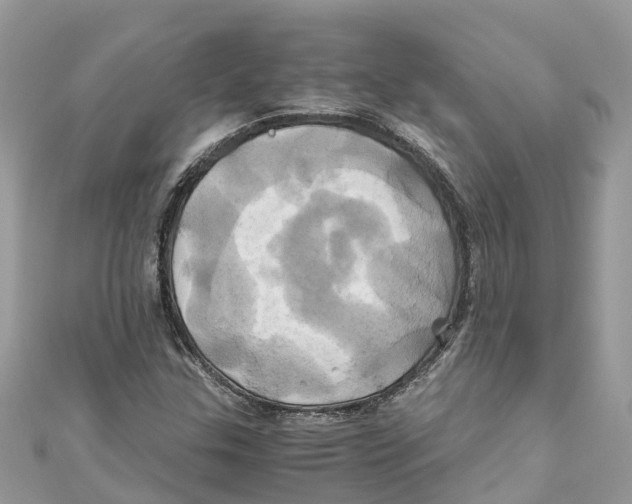 X0000110991307200907171743