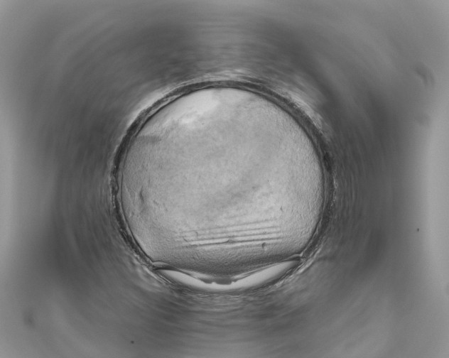 X0000110991308200907171744