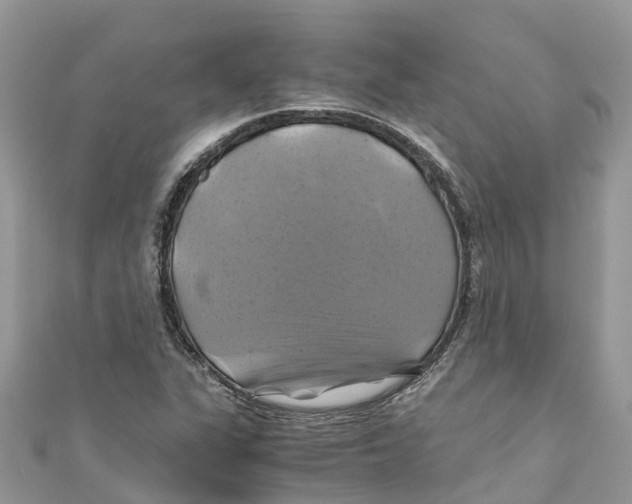 X0000110991311200907171744