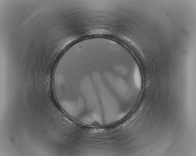 X0000110991313200907171744