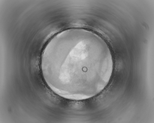 X0000110991314200907171744