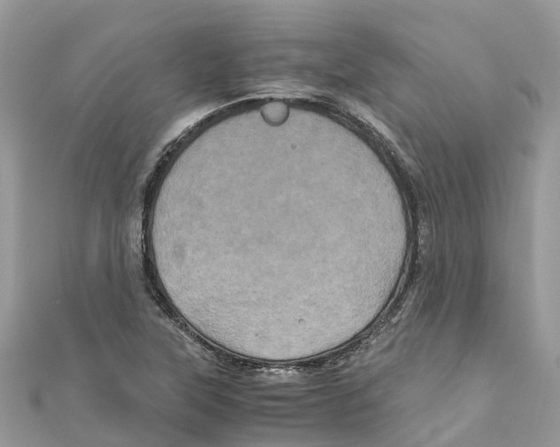 X0000110991315200907171744