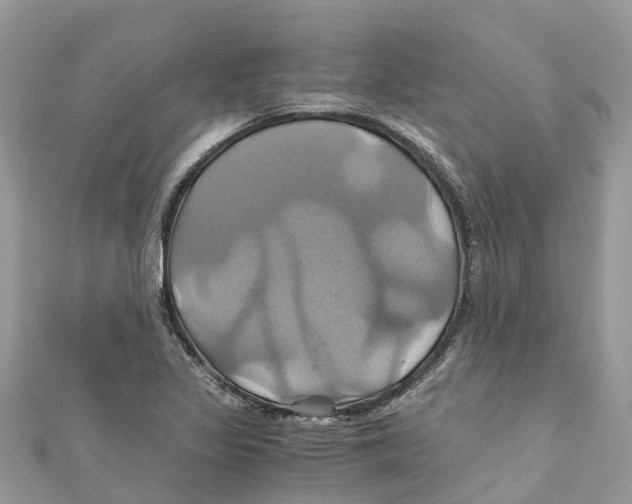 X0000110991317200907171744