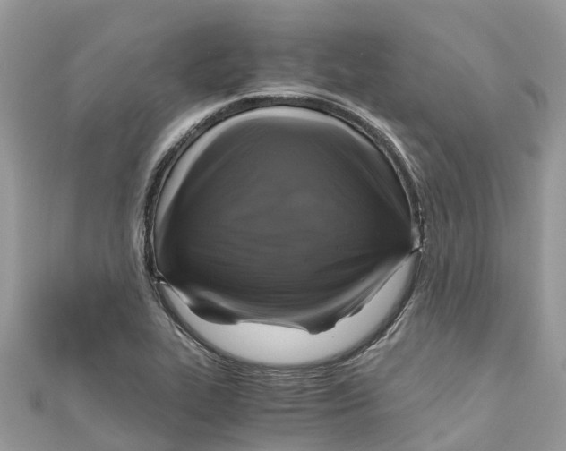 X0000110991319200907171744