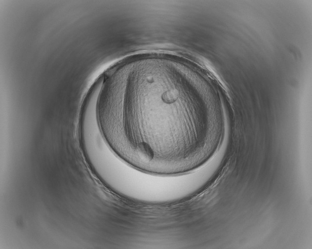 X0000110991320200907171744