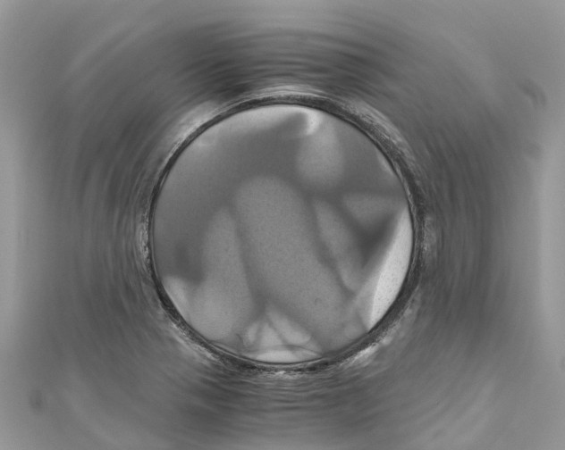 X0000110991321200907171744