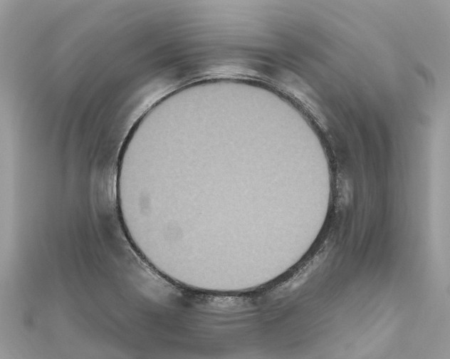 X0000110991322200907171744