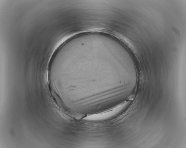 X0000110991324200907171744