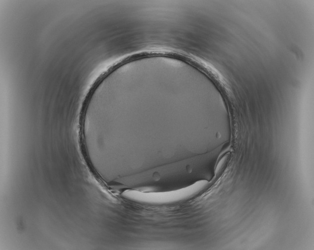 X0000110991327200907171744
