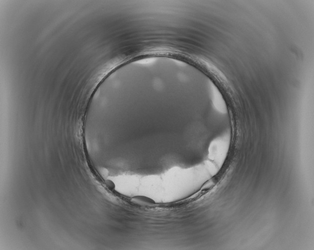 X0000110991329200907171744