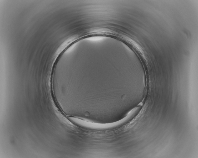 X0000110991330200907171744
