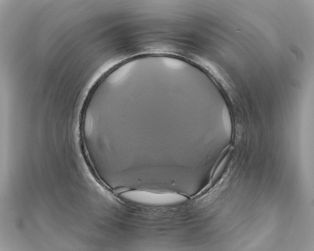 X0000110991331200907171744