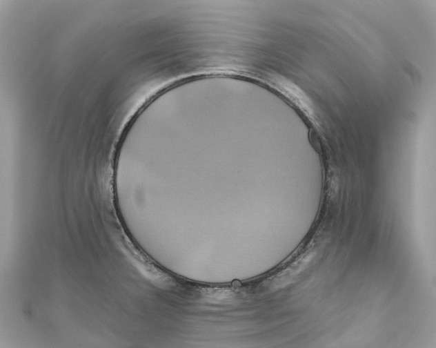 X0000110991332200907171744