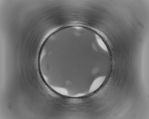 X0000110991333200907171744