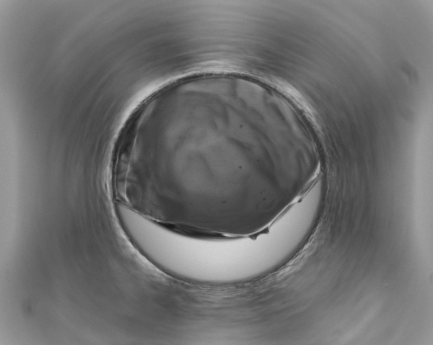 X0000110991334200907171744