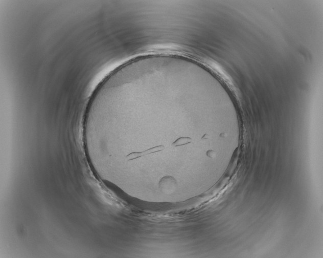 X0000110991336200907171744