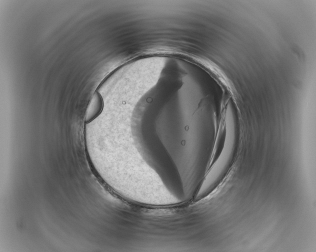 X0000110991337200907171744