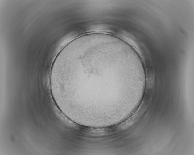 X0000110991338200907171744
