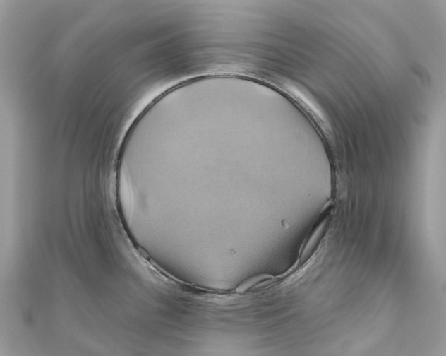X0000110991340200907171744