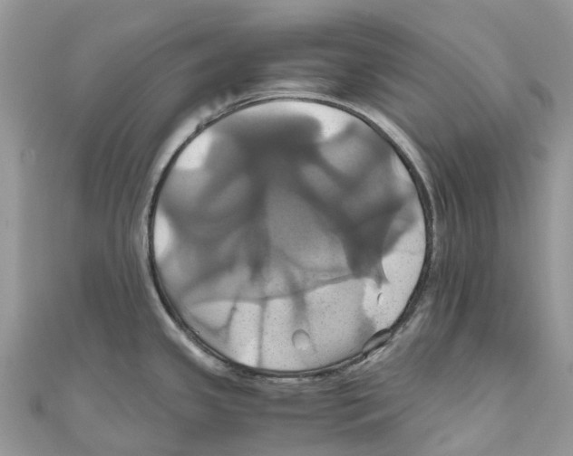 X0000110991341200907171744