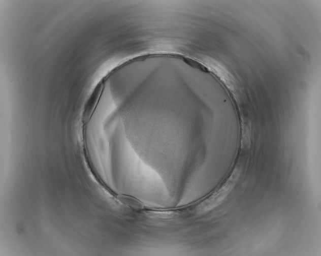 X0000110991342200907171744