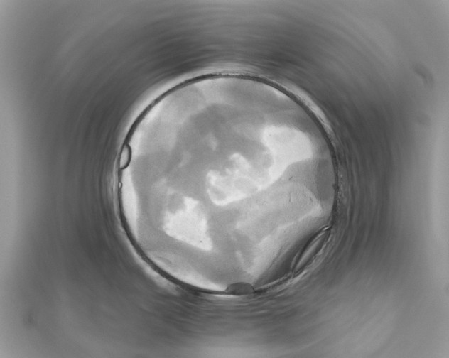 X0000110991343200907171744
