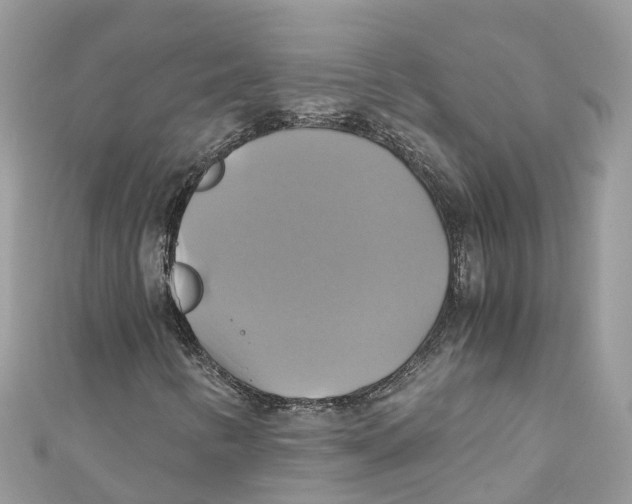X0000110991346200907171743