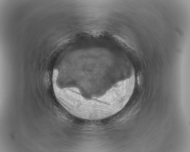 X0000110991347200907171743